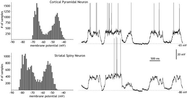 600px-CjwUpDownStateFig1